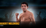 Mma_gameinfo_fighter_gmelendez