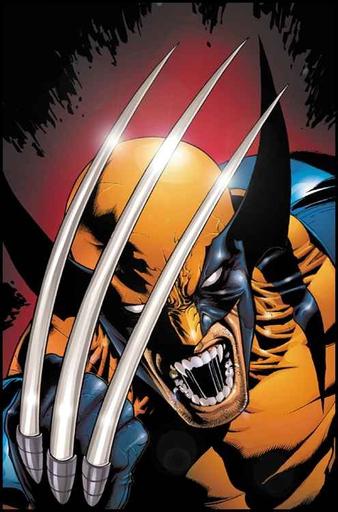 X-Men Origins: Wolverine - Арты Росомахи